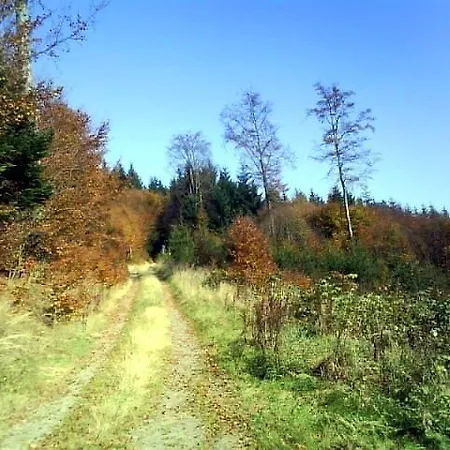 Ferienhaus Karles Tatil Evi Winterberg